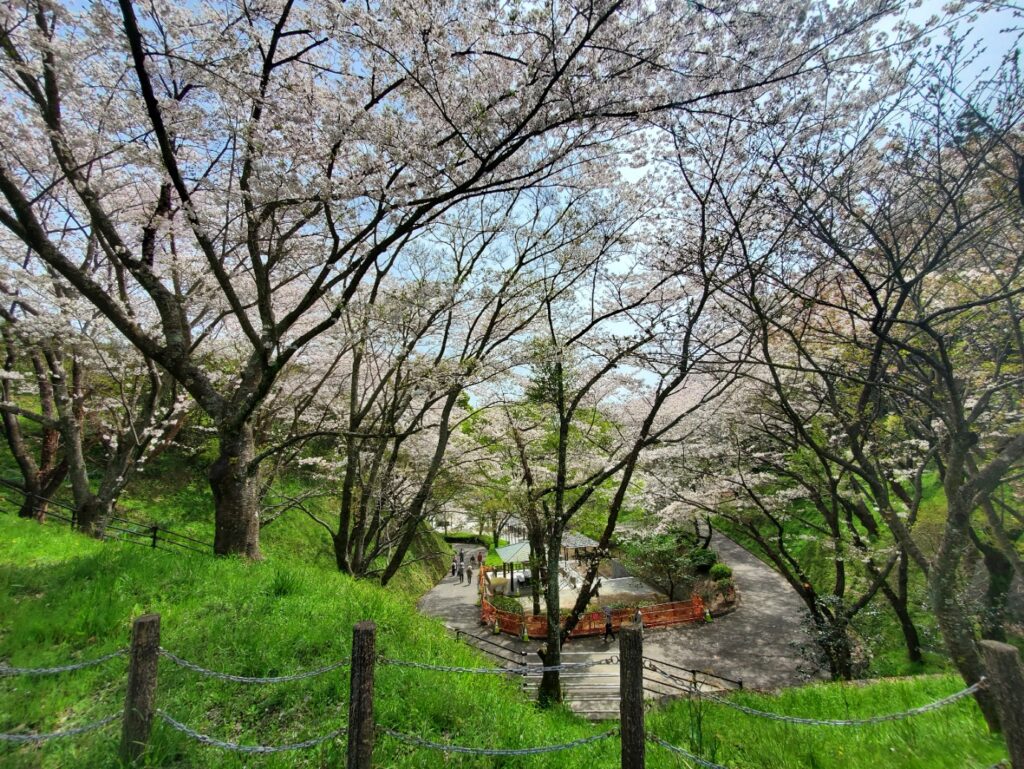 蓮花寺池公園芝生公園を抜け、若王子古墳群へ