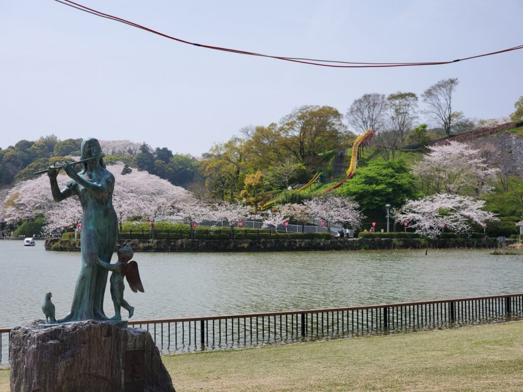 蓮花寺池公園桜、お花見ウォーキング