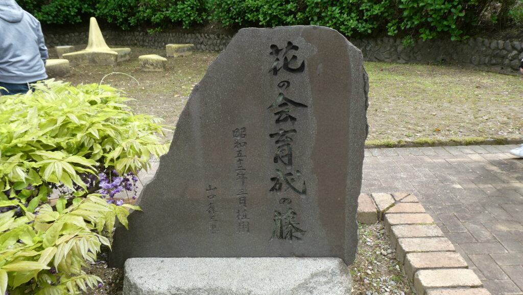 蓮花寺池公園 「花の会育成の藤」