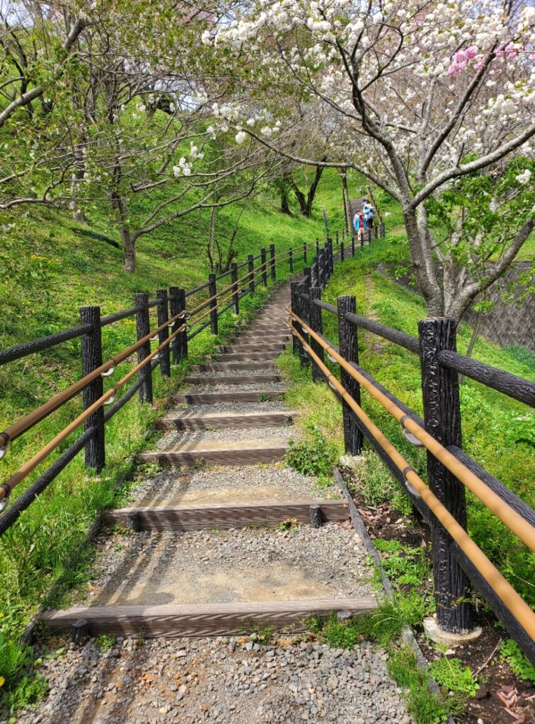 蓮花寺池公園新遊歩道、すべり台頂上及び富士山スポット、芝生公園行き階段