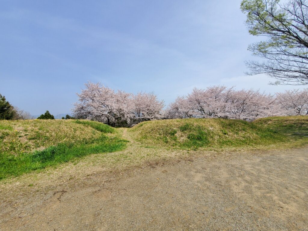 蓮花寺池公園若王子古墳群