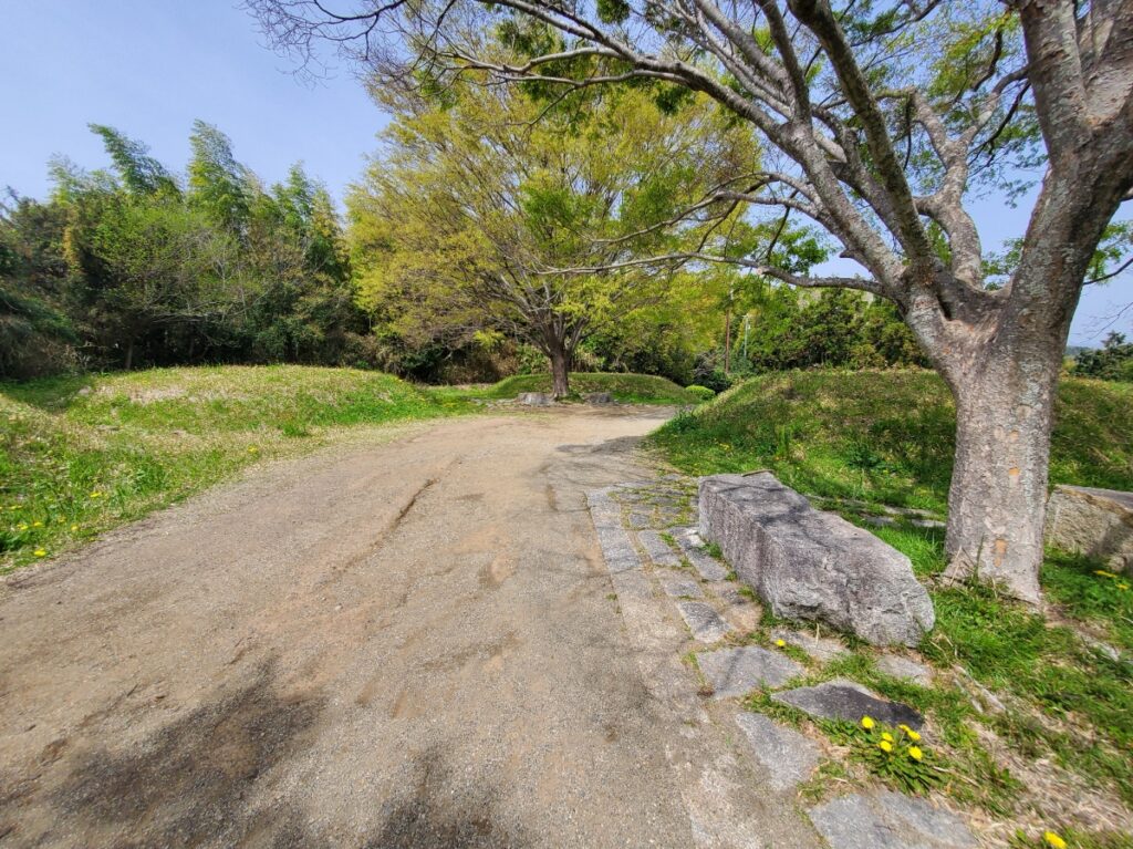 蓮花寺池公園若王子古墳群