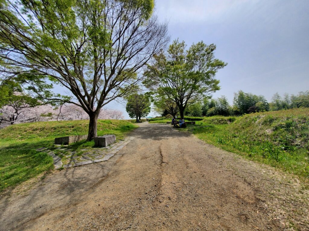 蓮花寺池公園若王子古墳群